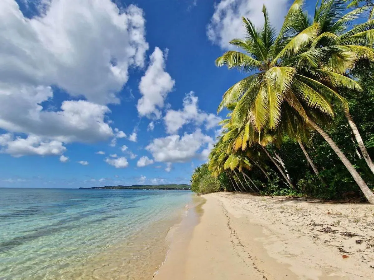 Manbana 333 Hotell Folle Anse